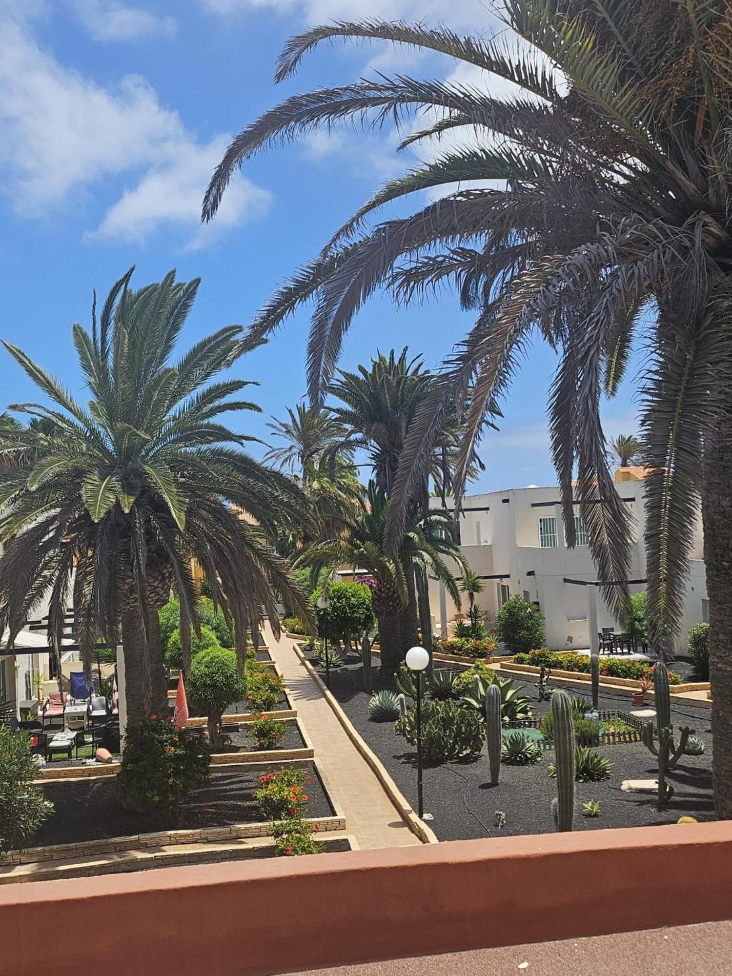 New Alisios Playa Corralejo Exterior foto