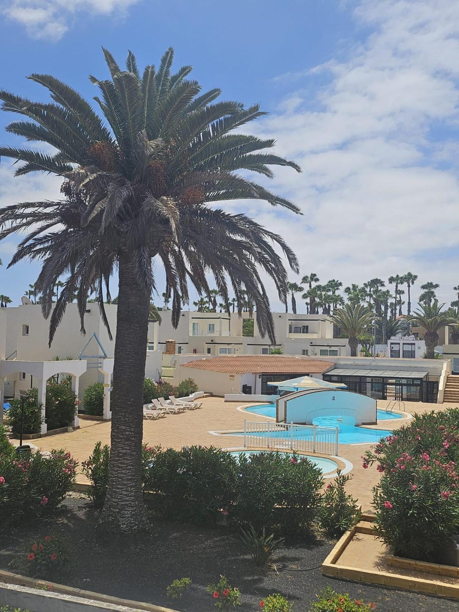 New Alisios Playa Corralejo Exterior foto